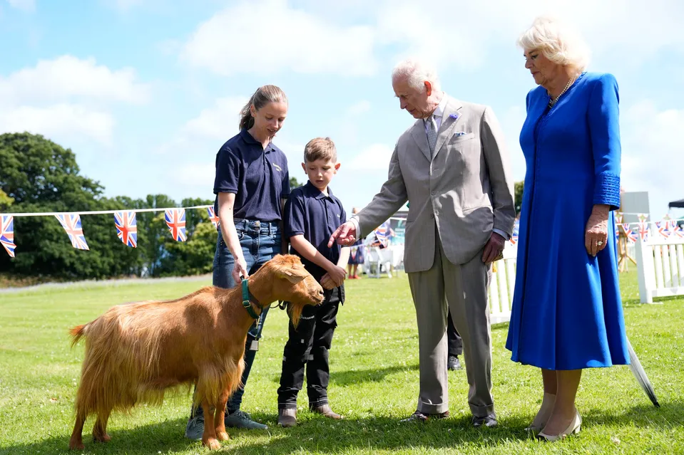 Britský kráľ Karol III. (druhý vpravo) a britská kráľovná Kamila si prezerajú vzácne plemená kozy Golden Guernsey počas návštevy Les Cotils v L'Hyvreuse v Saint Peter Port na ostrove Guernsey 16. júla 2024.