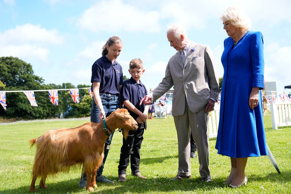 Britský kráľ Karol III. (druhý vpravo) a britská kráľovná Kamila si prezerajú vzácne plemená kozy Golden Guernsey počas návštevy Les Cotils v L'Hyvreuse v Saint Peter Port na ostrove Guernsey 16. júla 2024.