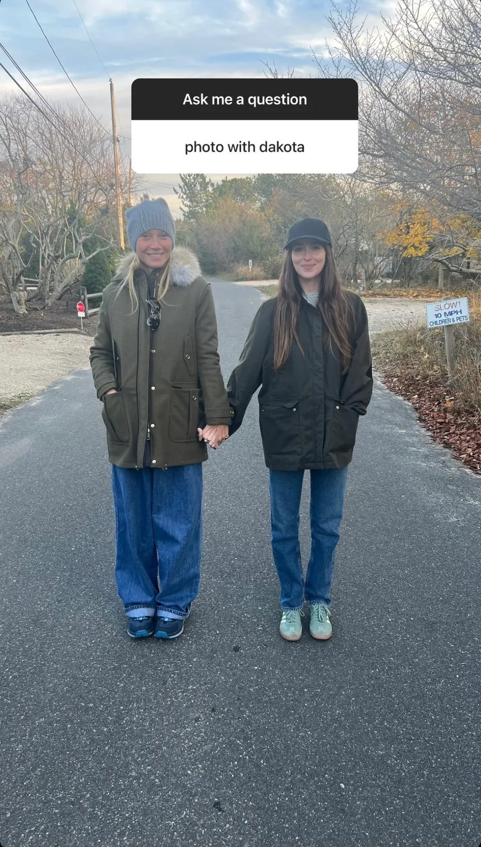 Gwyneth Paltrow a Dakota Johnson