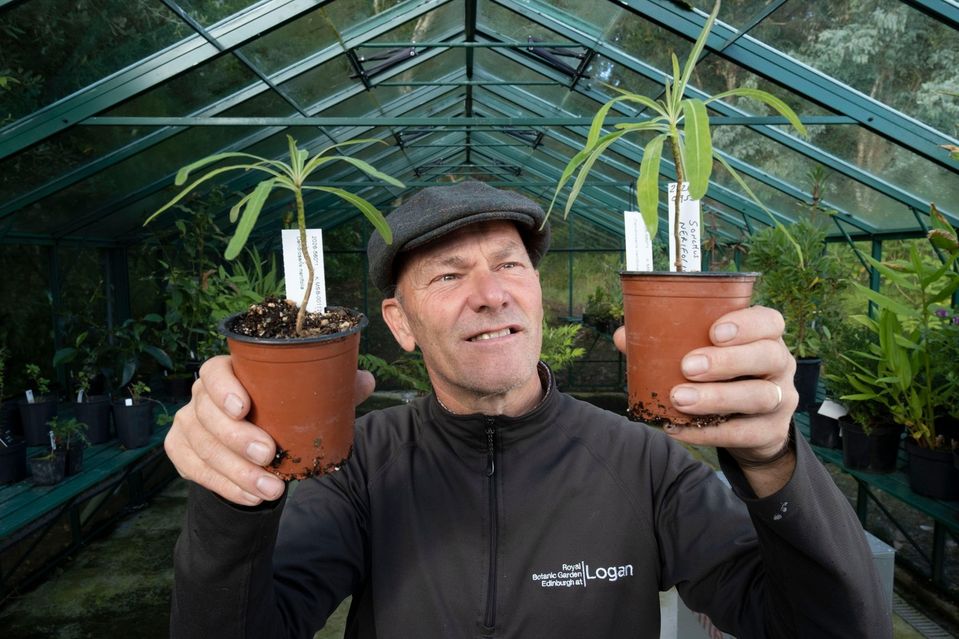 Zomrel Richard Baines, 60-ročný ocenený kurátor Kráľovskej botanickej záhrady v Edinburghu, ktorej oficiálnym patrónom je sám kráľ Karol III.