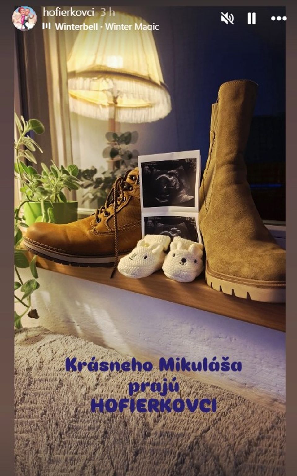 Stanka a Rudi Hofierkovci čakajú bábätko.