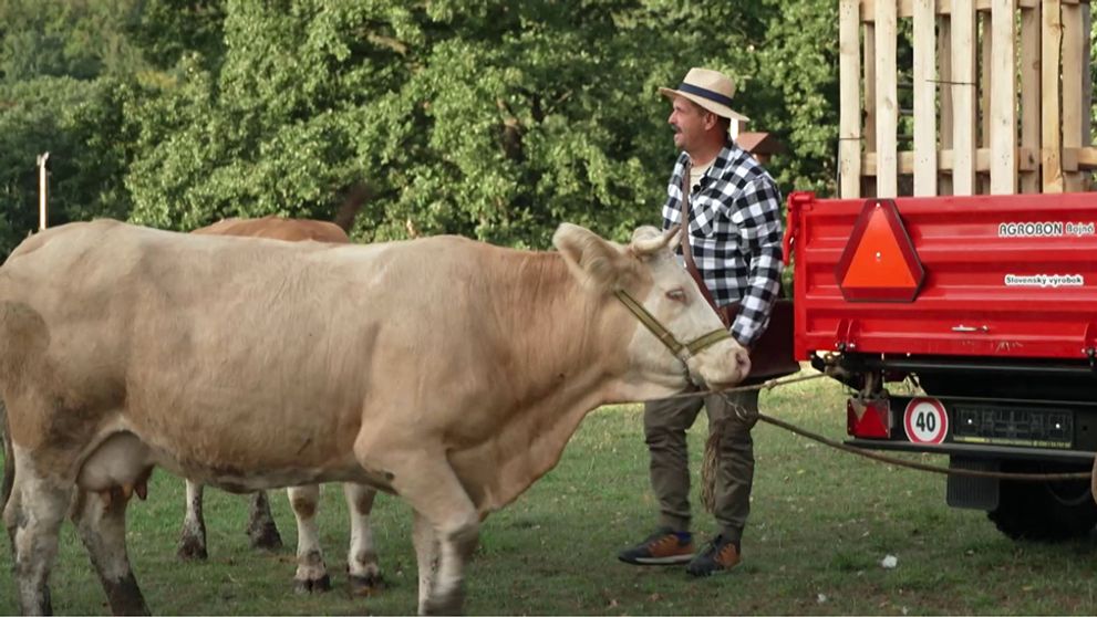 Ešte bude veselo! Obavy sa naplnili, farmári majú problém hneď prvý deň