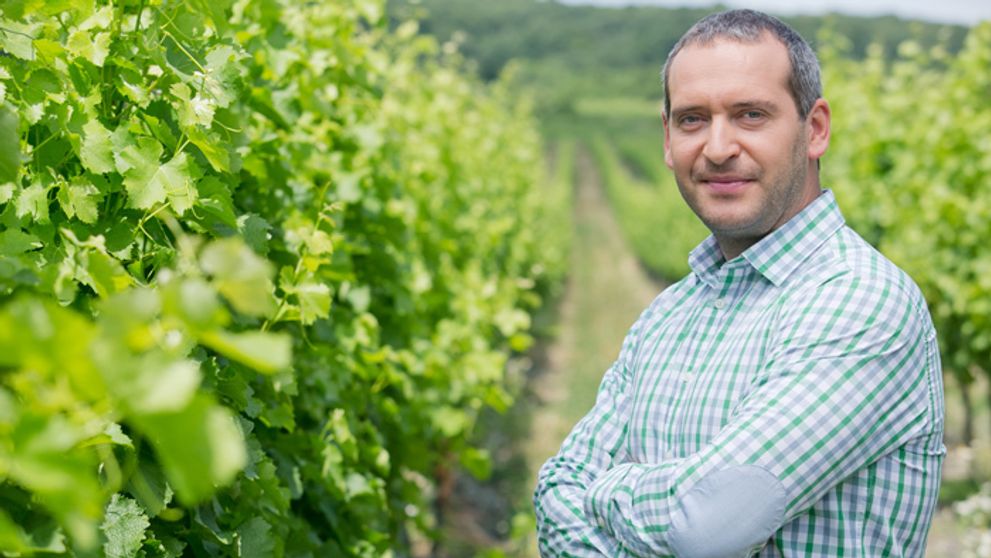 Martin Mňahončák prezrádza: Návrat do vinohradu a rovno na riaditeľskú stoličku!