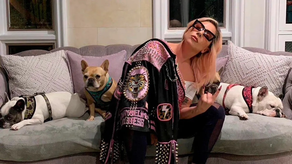 Nečakaný zvrat v prípade únoscov psov Lady Gaga: Išlo o premyslené sprisahanie!