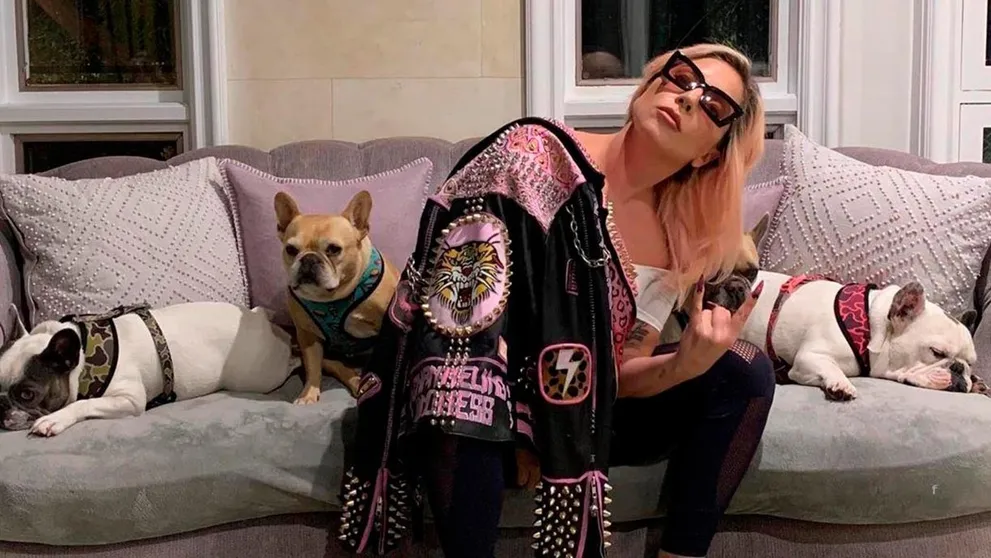 Lady Gaga ponúkla pol milióna za nájdenie jej psíkov: Je čas platiť