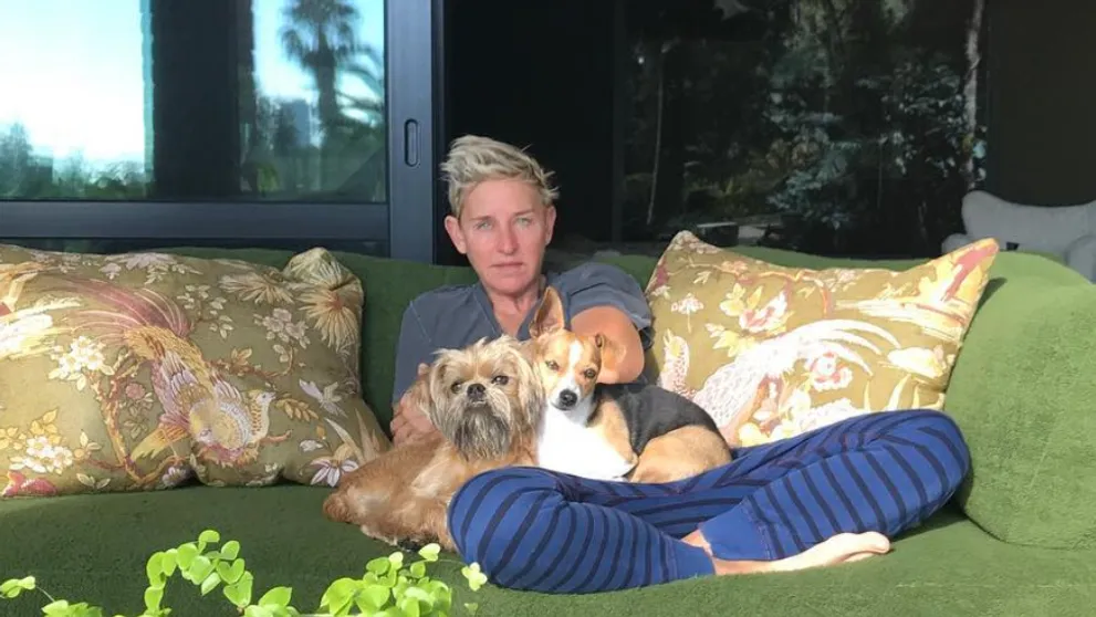 Miláčik Ameriky Ellen DeGeneres čelí škandálu. Pracovať pre ňu je peklo!
