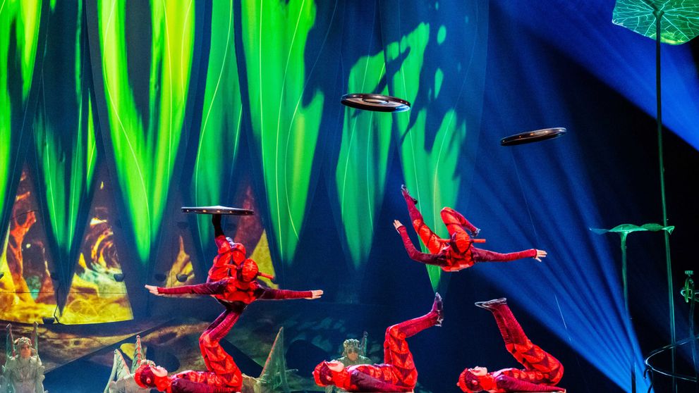 Ako vzniká OVO? Nahliadnite do zákulisia jednej z najslávnejších šou Cirque du Soleil