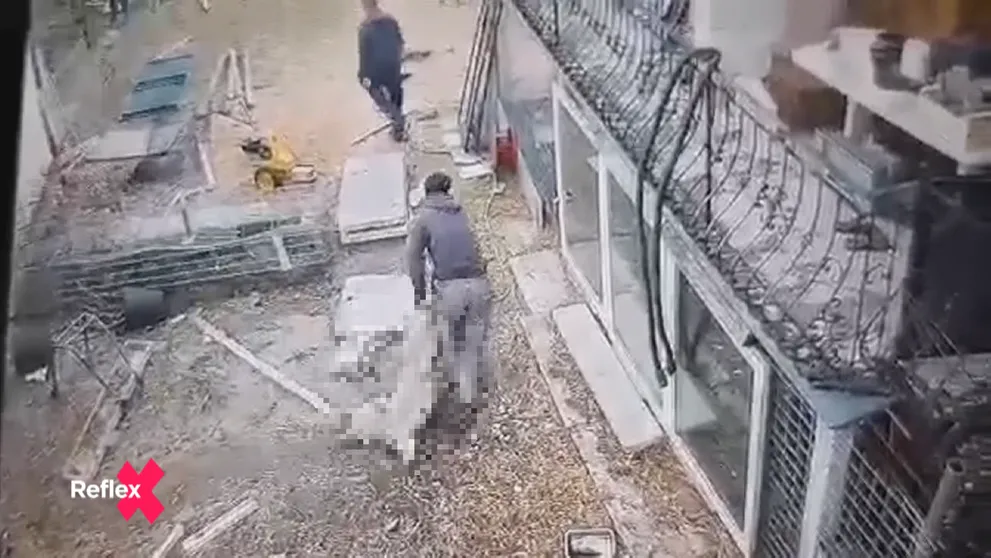 Za dobitie psa pred súdom