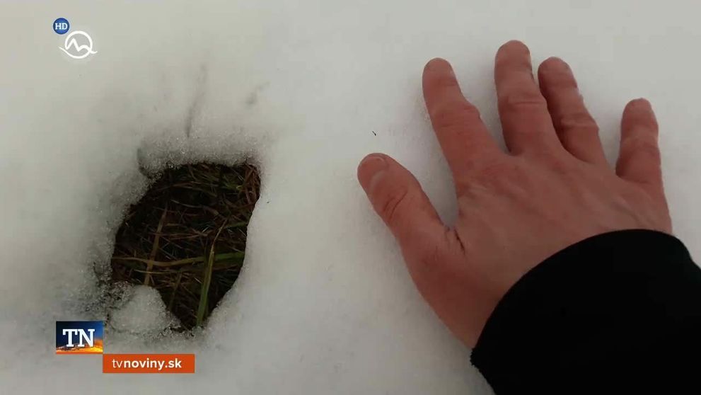 Hviezdy z Matiek a dcér sa po rokoch stretli: Pozrite, ako sa zmenili