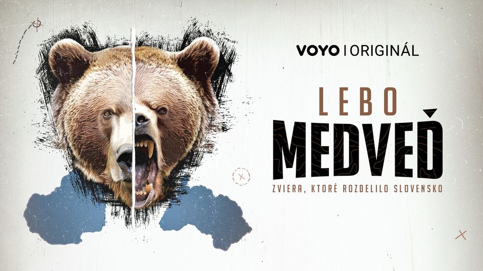 Slováci v tom majú jasno: Medveď do prírody patrí! Ale čo s tými, ktoré sa k ľuďom až priveľmi približujú?
