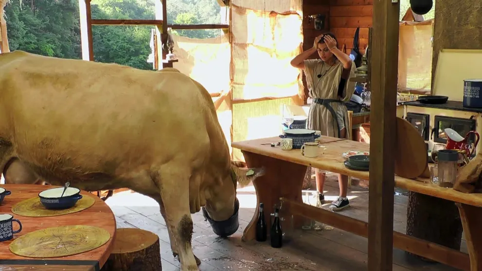 Na statku hrozí hladomor: Farmári prišli o zásoby jedla na celý týždeň!