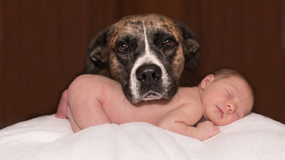 Anjelikovia ako z rozprávky: Toto je váš Baby Boom (4)
