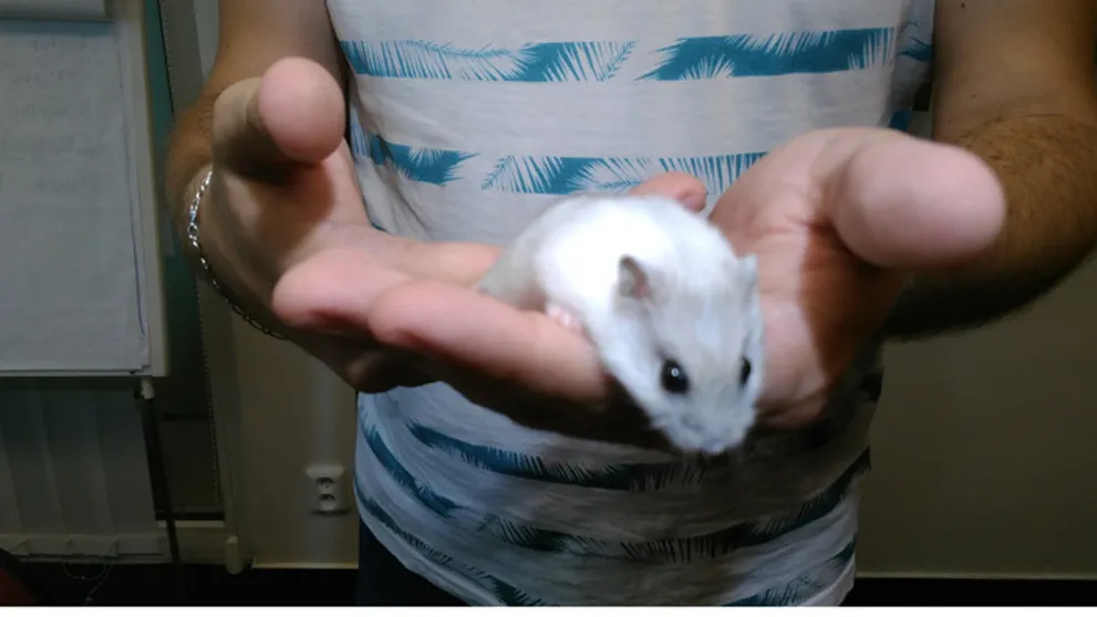Nová hviezda Telerána: Aké tipy dodá Tippy?