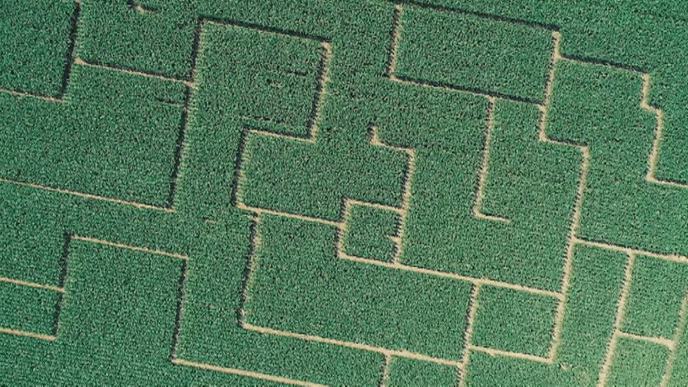 Chcete sa stratiť v kukurici? Ukážeme vám unikátne a obrovské slovenské bludisko