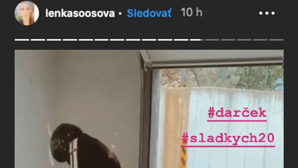 Adam Ďurica na dojemných záberoch s deťmi: Bude z jeho syna génius?