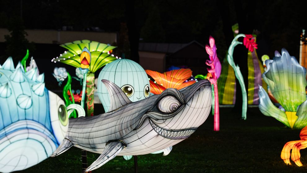 Zábavný park Wonderland ožíva v halloweenskom štýle – čaká vás mesiac plný kúziel a zábavy!